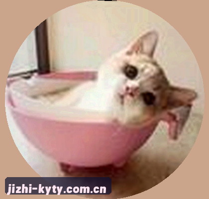 周鑫