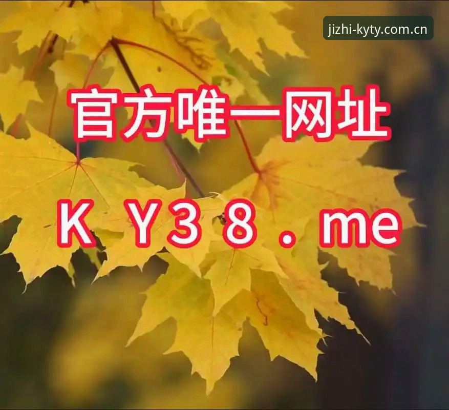 ky体育官网入口常见问题 揭秘ky体育官网入口常见问题背后的真相:从登录到安全的全面解析